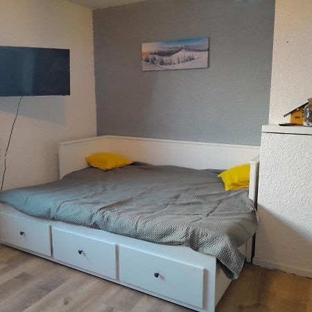 Studio Du Lac Bleu Apartment Morillon Ngoại thất bức ảnh